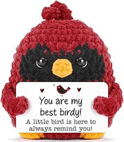 Red Bird Friendship Gifts for Best Friend Bestie Birthday Positive Cardinal