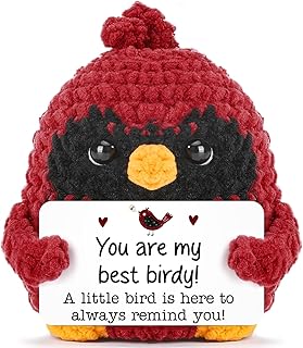 Red Bird Friendship Gifts for Best Friend Bestie Birthday Positive Cardinal
