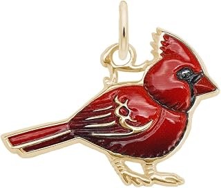 Rembrandt Painted Cardinal Charm