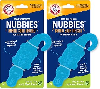 Arm & Hammer Nubbies Gator Dog Dental Chew Toy, Mint Flavor, 2-Pack