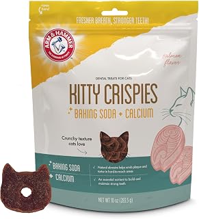 Arm & Hammer Kitty Crispies Dental Cat Treats, Salmon Flavor, 10 Oz