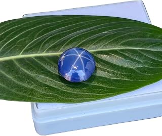 6 Ray Natural Star Sapphire 6.90 Ct Loose Gemstone Round cabochon