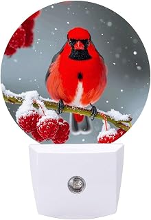 Cardinal Birds Snow Cranberries LED Night Lights, Auto-on/off Night Lamp