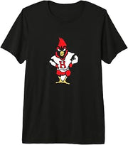 Harvard Cardinals Premium Tri-Blend T-Shirt