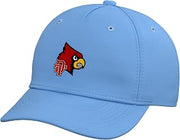 Doniphan-Trumbull Secondary Cardinals Adjustable Baseball Hat