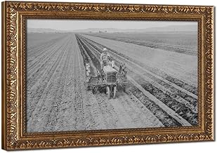 Tule Lake Relocation Center, Newell, California 1942 Canvas Poster Wall Art