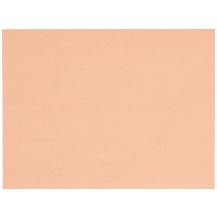 LitePeachTreat Steak Paper Sheets - 1000/Case9" x 12" 40#