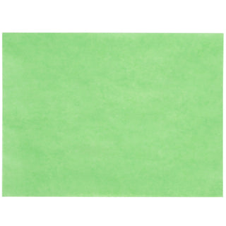 GreenTreat Steak Paper Sheets - 1000/Case 9" x 12" 40#
