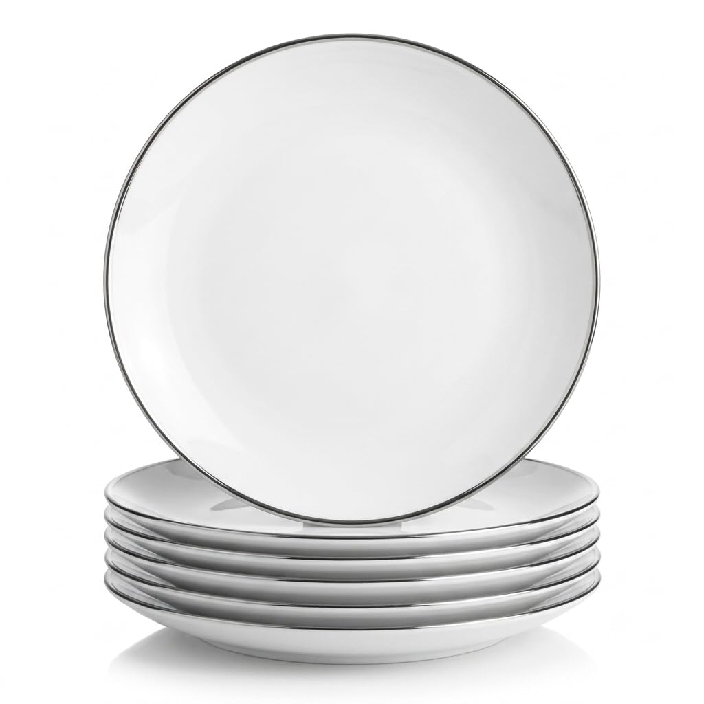 Glownary Coupe Dynasty White Round Plastic Plates, 10 Inch, Silver Band, BPA Free, Disposable, 120 Count, for Events and Weddings