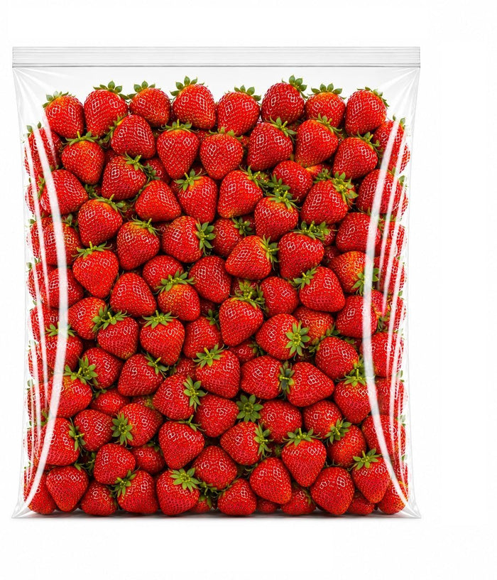 20" x 24" 2 Mil Clear LDPE Zip Top Bag 500/Case, Food Safe, Reclosable, No Gusset Flat Style