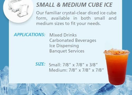 Scotsman Commercial Undercounter Ice Maker with Bin