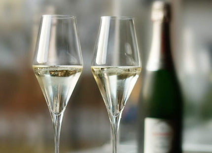 Stolzle Lausitz Quatrophil German Made Crystal Champagne Glass, Set of 6