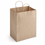 Brown Paper Shopping Bag with Paper Handles, 10" x 6 3/4" x 12", 60 lb., 250/Case - main