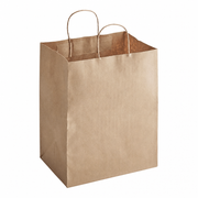 Brown Paper Shopping Bag with Paper Handles, 10" x 6 3/4" x 12", 60 lb., 250/Case - main