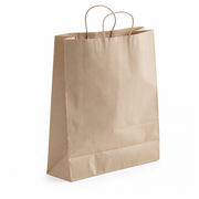 Paper Shopping Bag with Paper Handles, Brown, 16" x 6" x 19 1/4", 65 lb., 200/Case - main