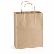 Brown Paper Shopping Bag with Paper Handles, 8" x 4 1/2" x 10 1/4", 60 lb., 250/Case - main