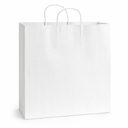 White Paper Shopping Bag with Paper Handles, 16" x 6" x 15 3/4", 65 lb., 200/Case - main
