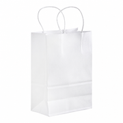 White Paper Shopping Bag with Paper Handles, 5 1/2" x 3 1/4" x 8 3/8", 60 lb., 250/Case - main