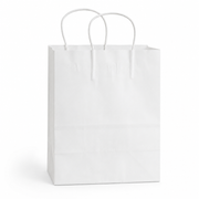 White Paper Shopping Bag with Paper Handles, 8" x 4 1/2" x 10 1/4", 60 lb., 250/Case - main