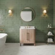 Cirilla 30 in. Single Sink Pre-Assembled Transitional Style Bathroom Vanity